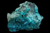 Turquoise Blue, Botryoidal Chrysocolla - Congo #69792-2